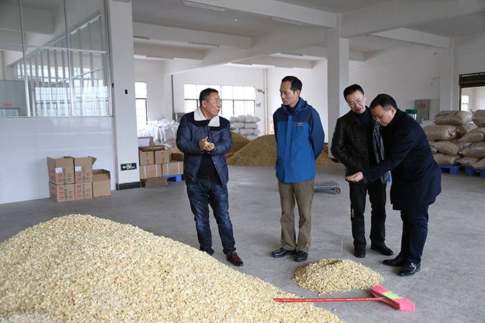 省农发行行长来我司调研1