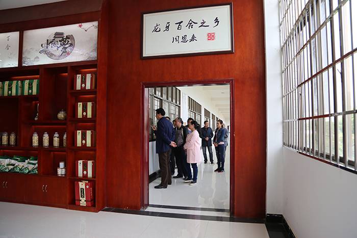 市政协副主席周晓红来我司调研政协工作“四