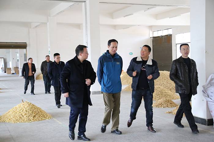 省农发行行长来我司调研2