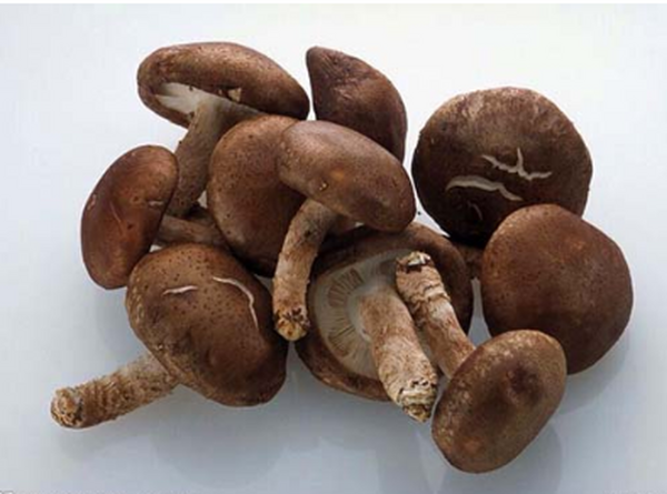 香菇有什么营养价值和药用价值？