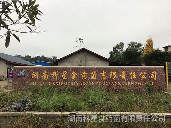 厂房门头