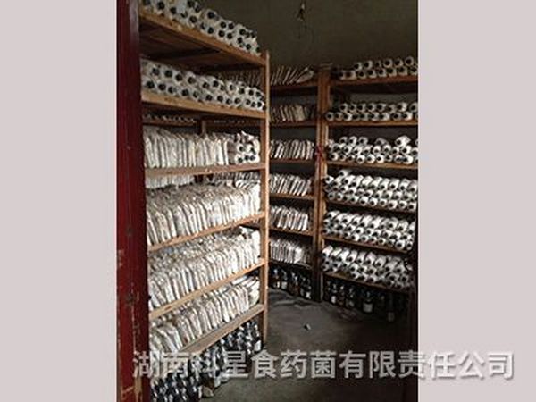 种苗中心