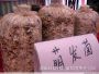 萌发菌
