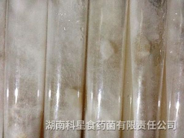 种苗中心