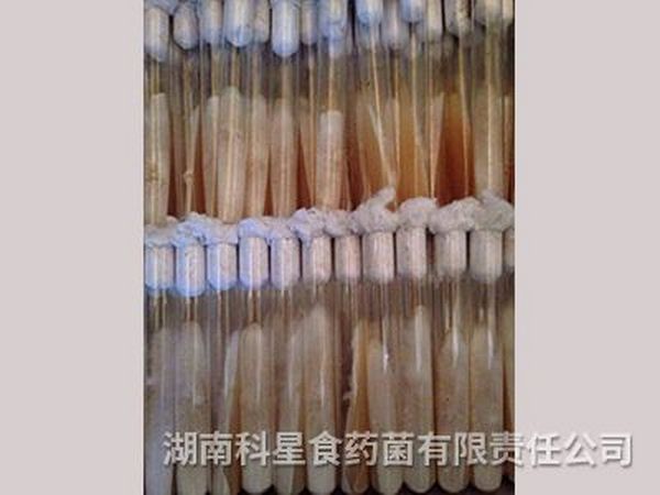 种苗中心