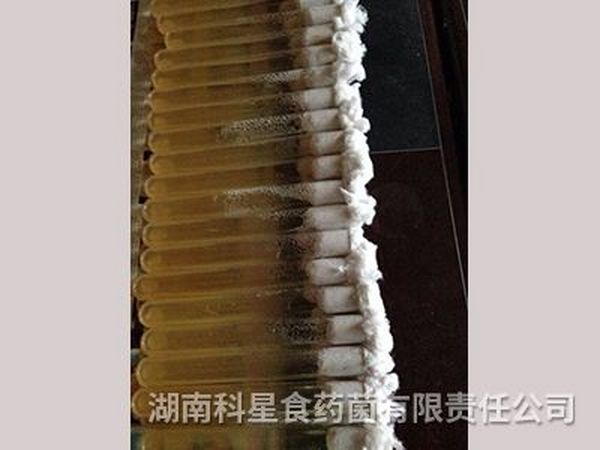 种苗中心