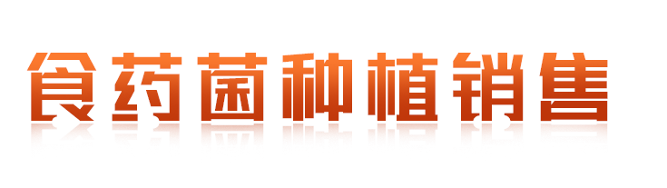 br3_03
