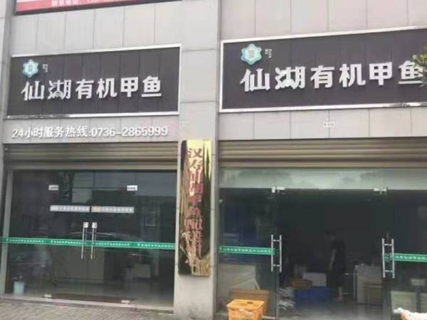 仙湖有机甲鱼