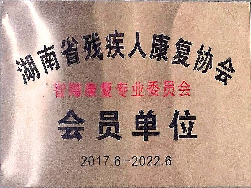 湖南省智障康复专业委员会