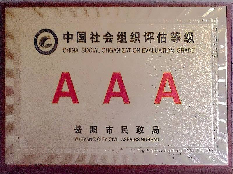 3A级社会组织