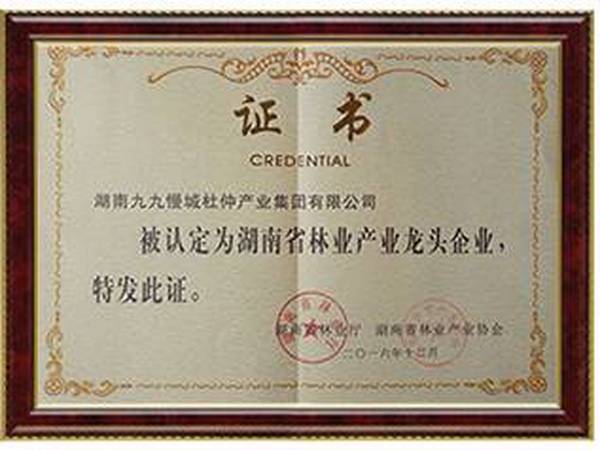 湖南九九慢城杜仲产业集团