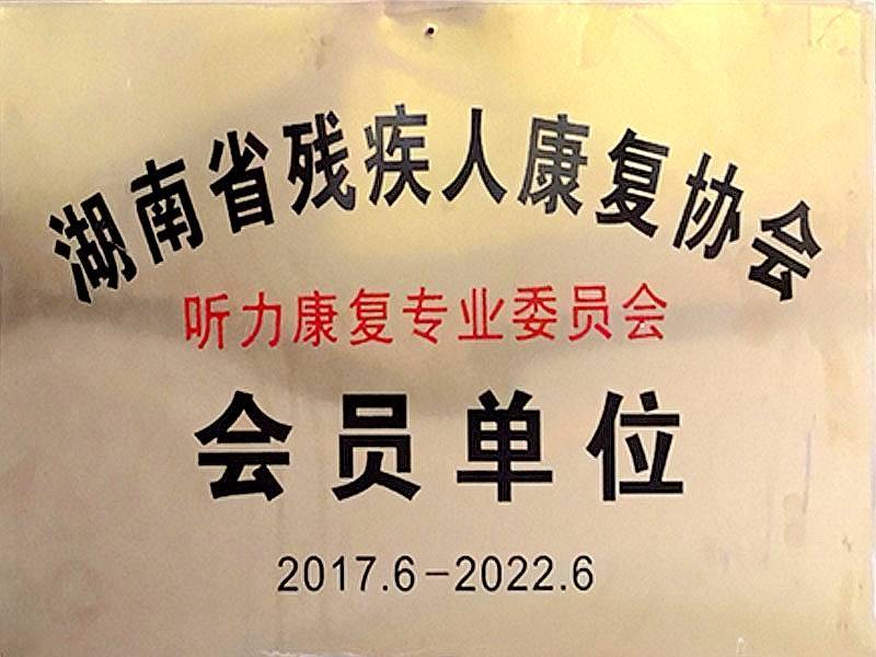 湖南省残疾人康复协会
