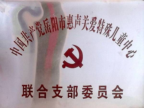 联合支部委员会