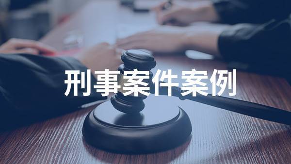 刑事案件案例