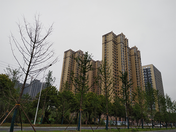 远见嘉华 (替换）