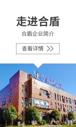 首页f1
