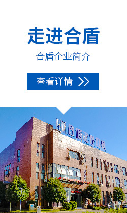 首页f1