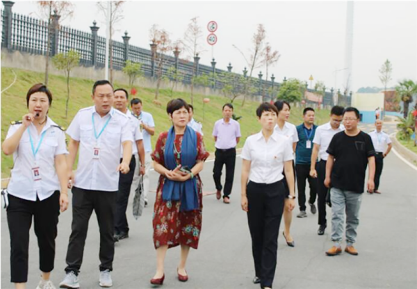 因为热爱所以坚持