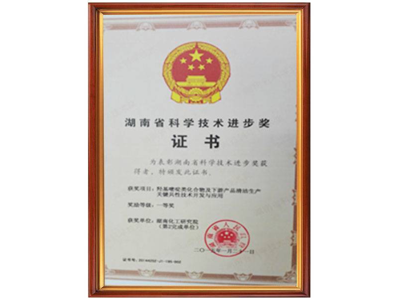 湖南省科学技术进步奖1