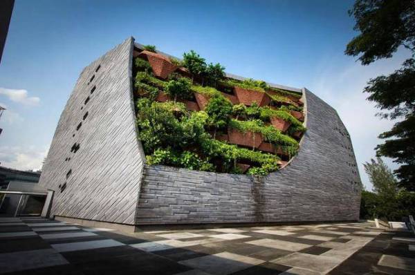 「建筑界」让绿色在城市蔓延，立体绿化成为城市景观“网红”