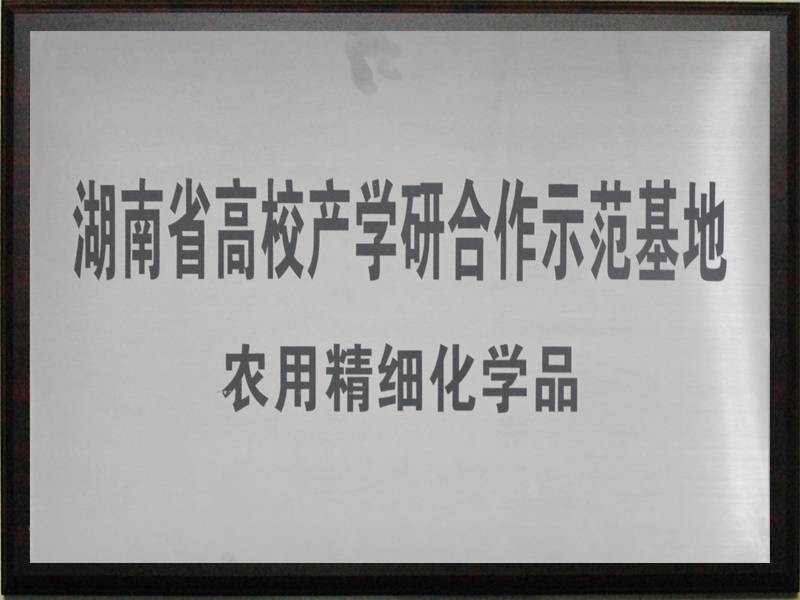 湖南省高校产学研合作示范基地