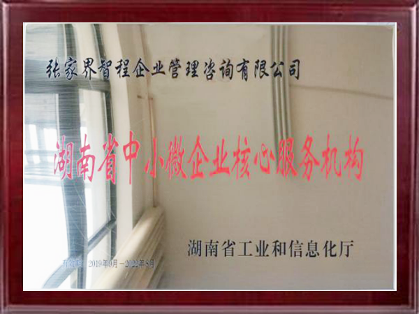 湖南�省中小企业核心服务机构