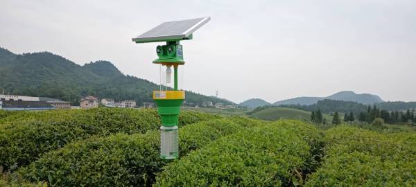 安装太阳能杀虫灯 有利于响应碳中和发展