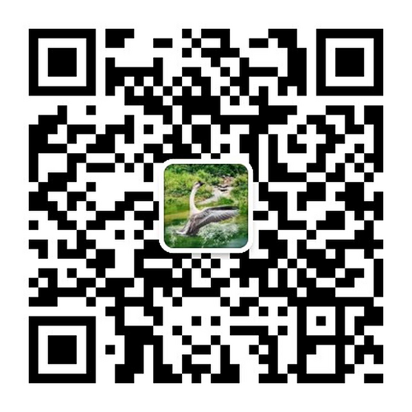 微信公眾號(hào)