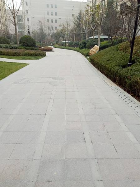 IMG20191212091802