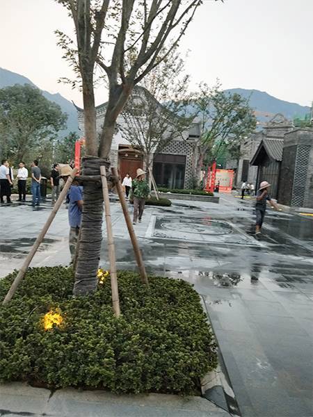 郴州長(cháng)卷林邑