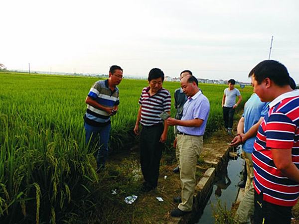 岳阳市农业局领导莅临考察科研基地