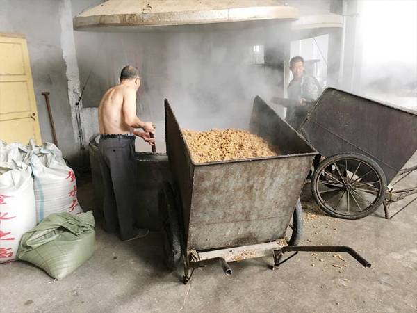 粮食酒生产工艺