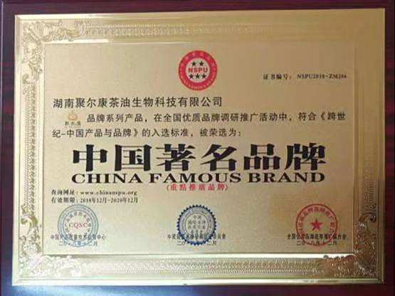 中国著名品牌