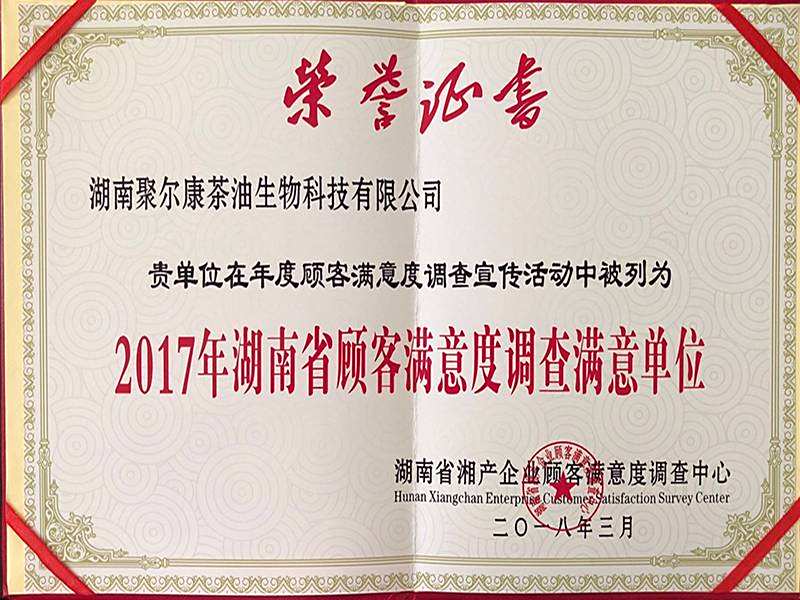 2017湖南省顾客满意度证书