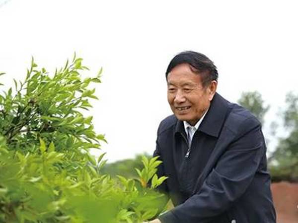 湖南聚爾康茶油生物科技有限公司董事長曹松林——今日頭條報道