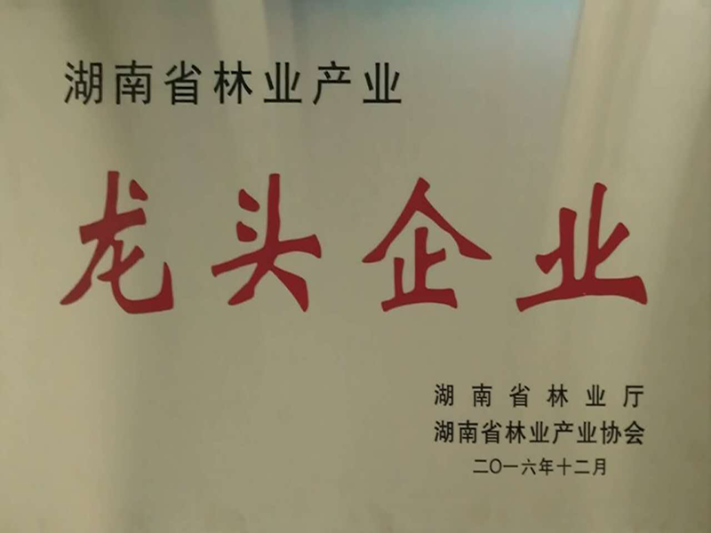 龙头企业