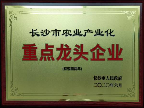 重點龍頭企業