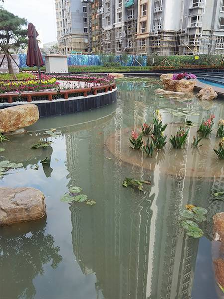 蘋(píng)果小鎮
