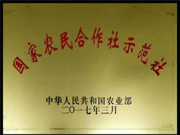 國家農民合作社
