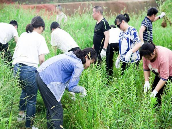 體驗教學農事活動