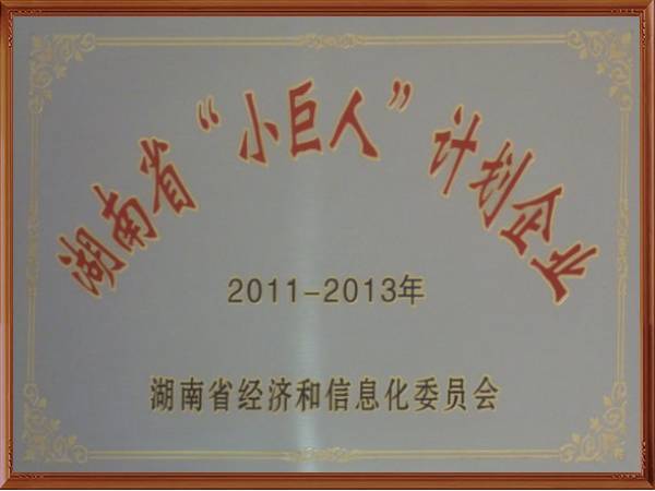 2011-2013年 湖南省“小巨人计划企业”
