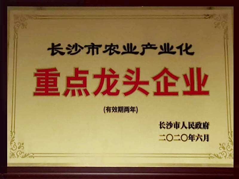 重点龙头企业