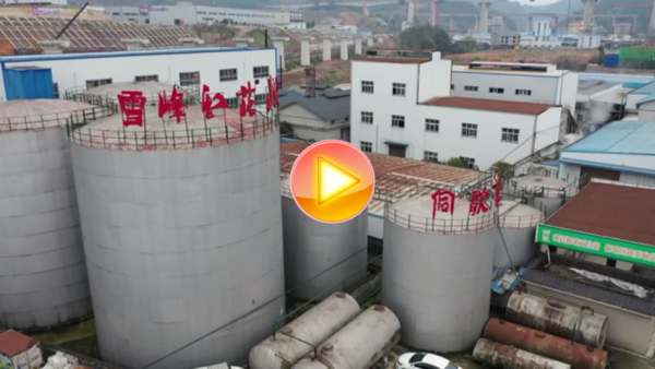 （视频）保供给_鹤城区农业龙头企业全面恢复生产