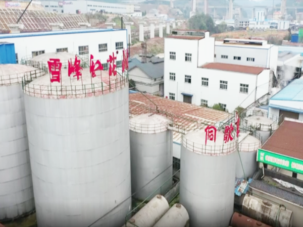 （視頻）保供給_鶴城區農業龍頭企業全面恢復生產