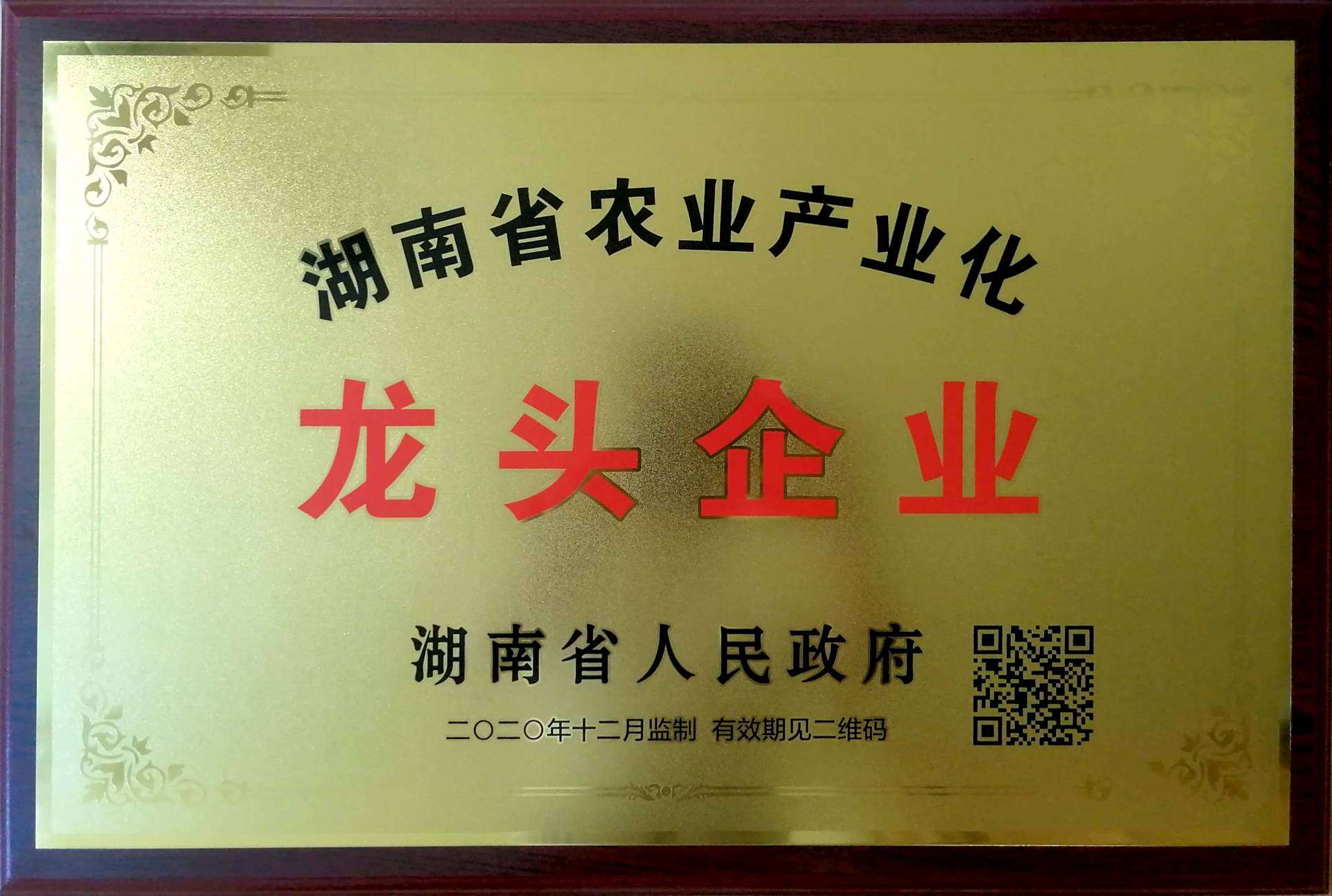 湖南省龙头企业