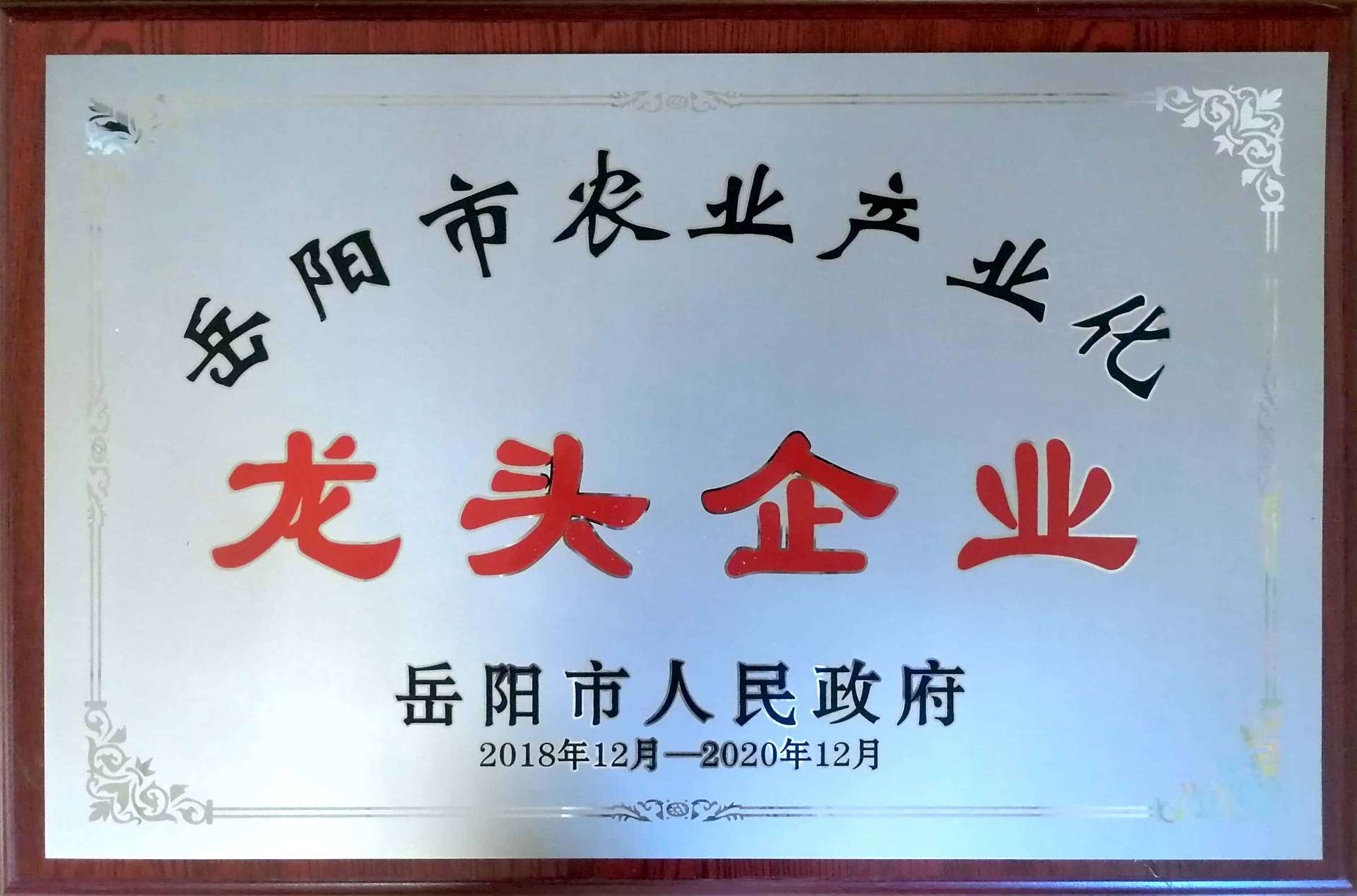岳阳市龙头企业