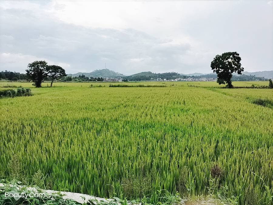 基地照片