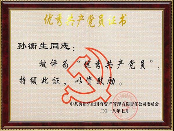 優(yōu)秀黨員證書(shū)