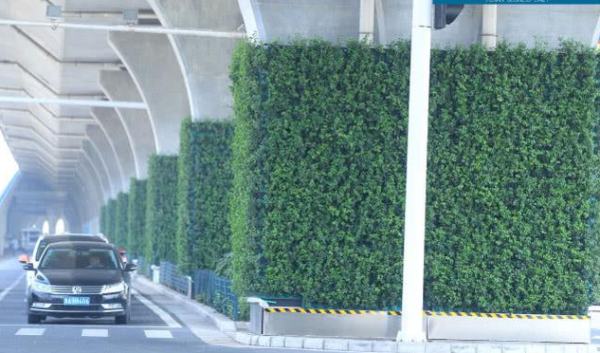 郑州开展的市区桥墩绿化工程