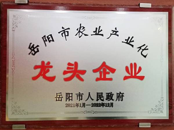 荣誉资质